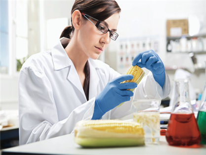 בטיחות במזון