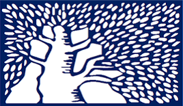 מכון ויצמן למדע